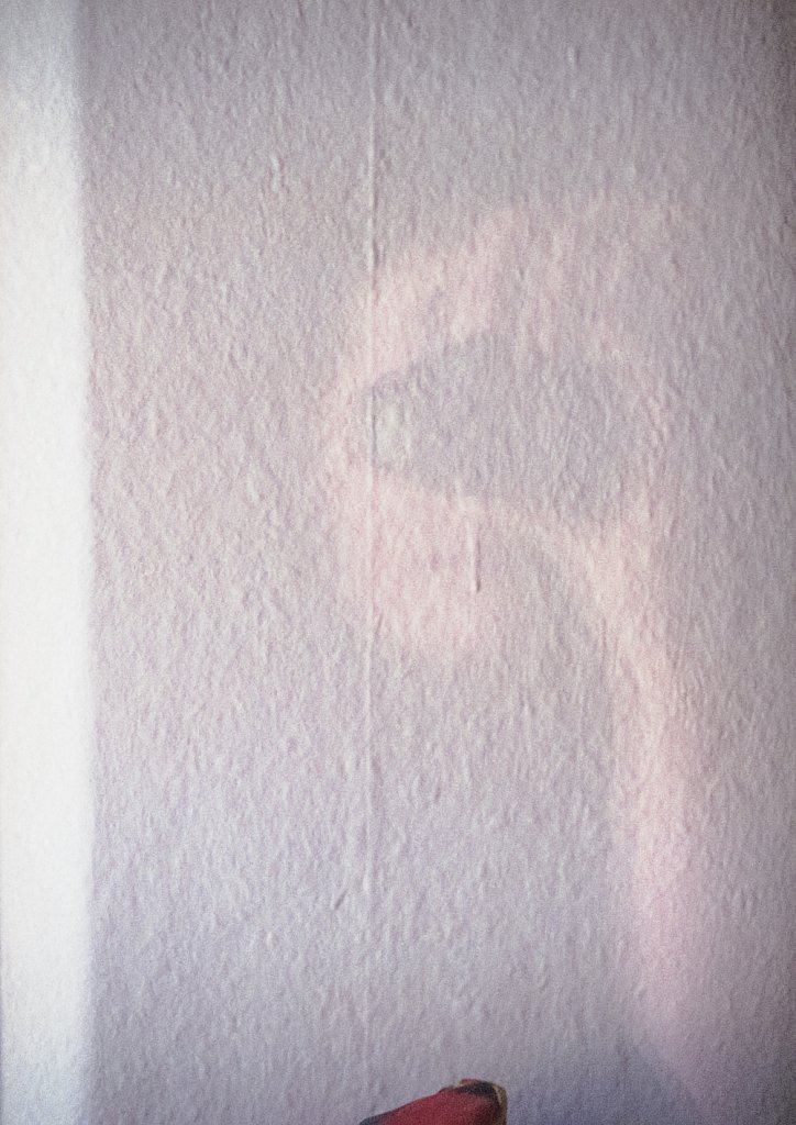 agnes-tanuki-self-portrait-in-the-wall.jpg